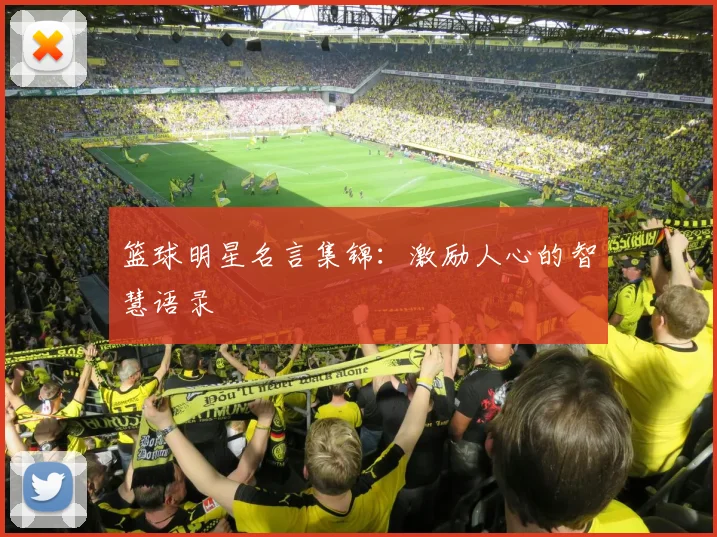 篮球明星名言集锦:激励人心的智慧语录